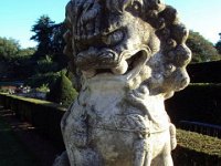 photos 2000-200902569